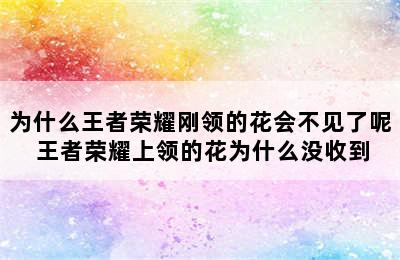 为什么王者荣耀刚领的花会不见了呢 王者荣耀上领的花为什么没收到